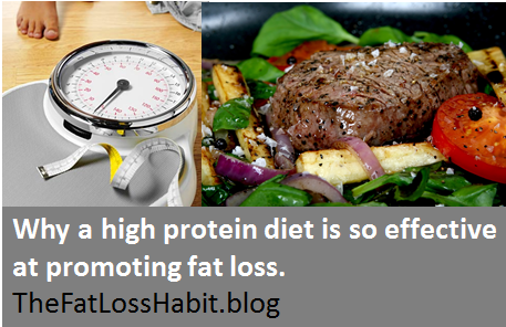 Why a high protein diet is so effective at promoting fat loss.