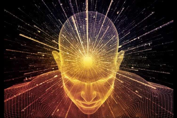 The LAW of ATTRACTION Works, BUT You Can’t Visualize a Goal, Then Go  Make a Sandwich.