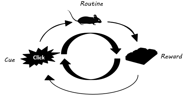 Half of what we do each day are HABITS, so why not learn more about them
