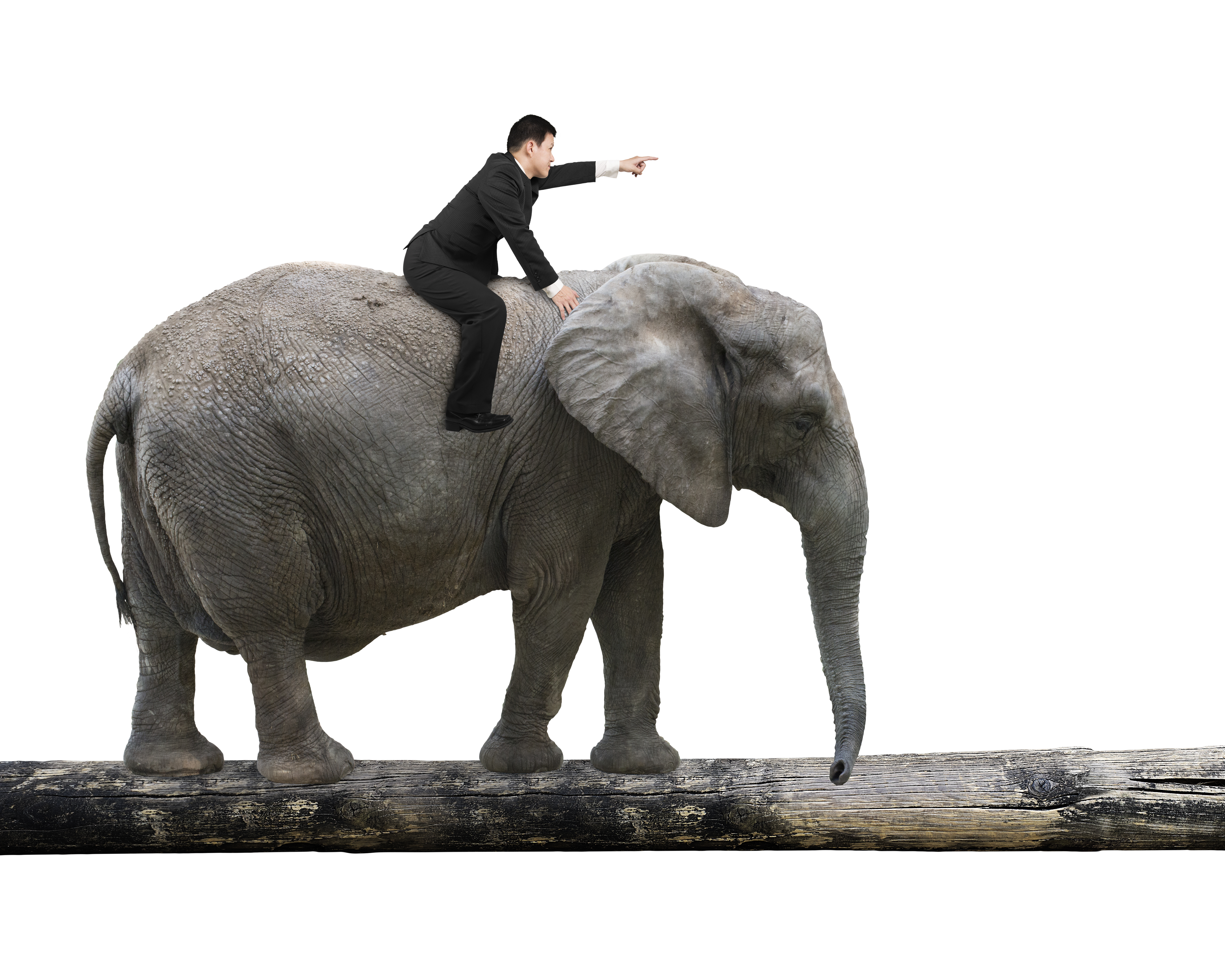 Behavior Change – The Elephant in the Room